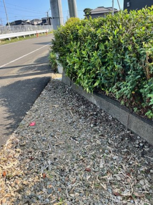 【外観】 | 佐土原町下田島　土地