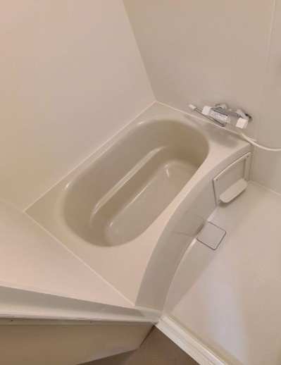 ロイヤルパーク見沼代の浴室