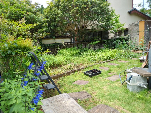 東金市極楽寺　中古戸建の庭|たまにはお庭で休日を過ごしてみるのもよいかもしれません