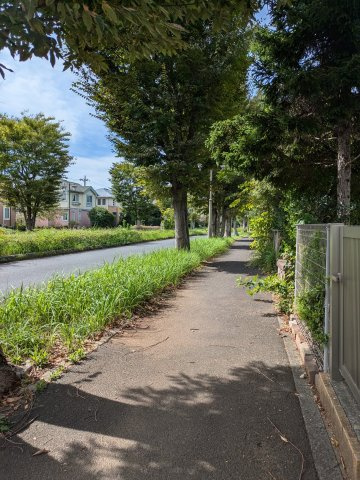 大網白里市季美の森南2丁目　中古戸建の前面道路含む現地写真