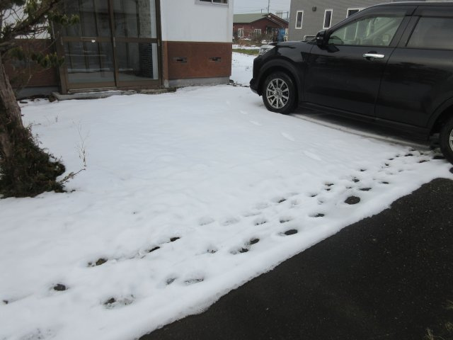 藤本貸家 の駐車場