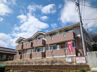 アンジュコリーヌの画像