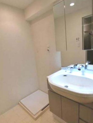 【独立洗面台】 | 日神デュオステージ押上 | 朝の支度にも助かる、独立の洗髪洗面化粧台