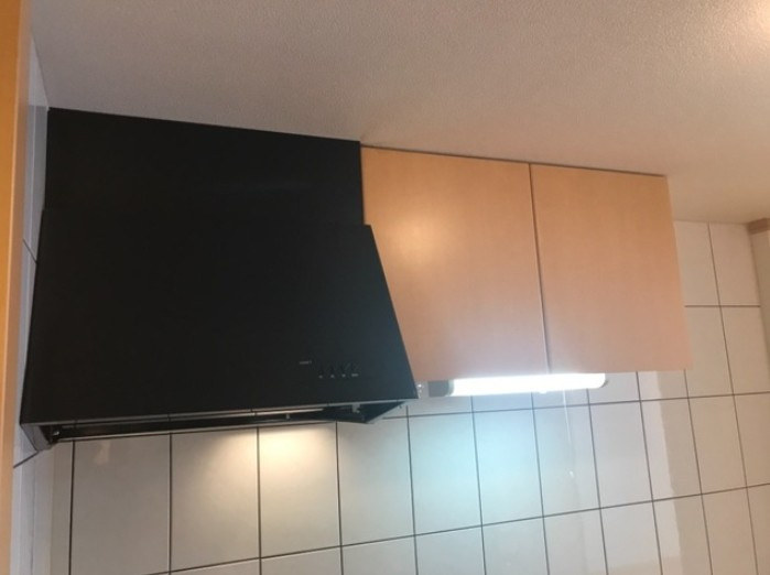ラファエルのその他