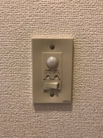 ラファエルのセキュリティ