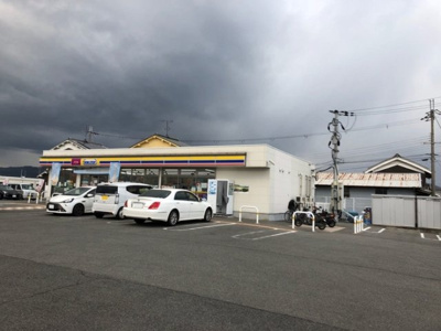 【周辺】 | カメリア