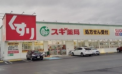 シティハイツ佐藤Ｂの周辺|スギ薬局沼津大岡店まで450m