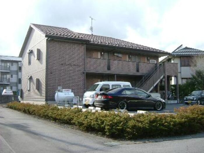 セジュール　コットン