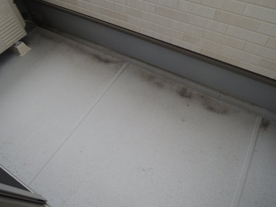 【バルコニー】 | スカイレオ