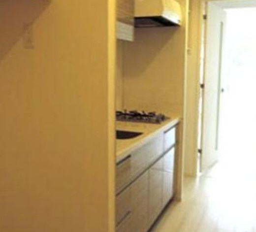 パークアクシス錦糸町レジデンスの内装