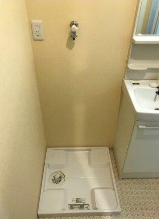 BRITISH PLUMのその他