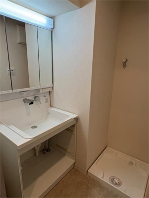 【洗面所】 | カサ・フェリーチェ | 忙しい朝には欠かせない洗面所です