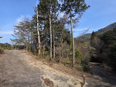 【前面道路含む現地写真】 | 多可町八千代区下野間資材置場