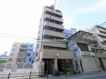 プリムローズの画像