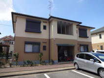 グリーン　オアシスの画像