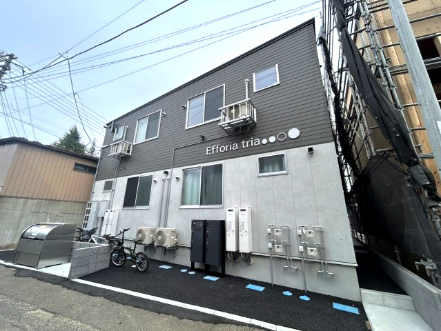 Efforia triaの画像