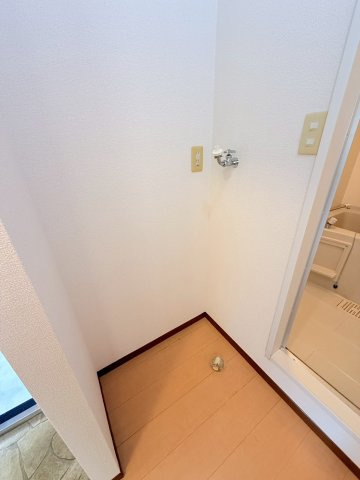 ヴェルドミールのその他