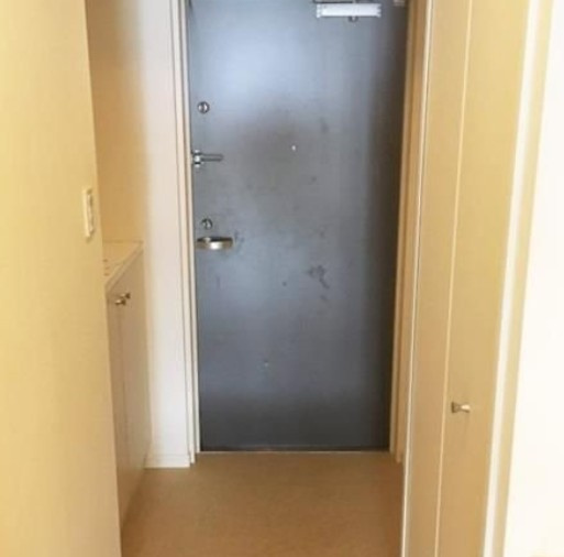 ニューシティアパートメンツ亀戸の玄関