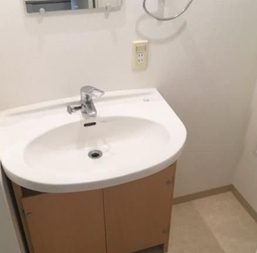 ニューシティアパートメンツ亀戸の洗面所