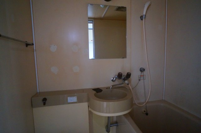 コーポ華の洗面所