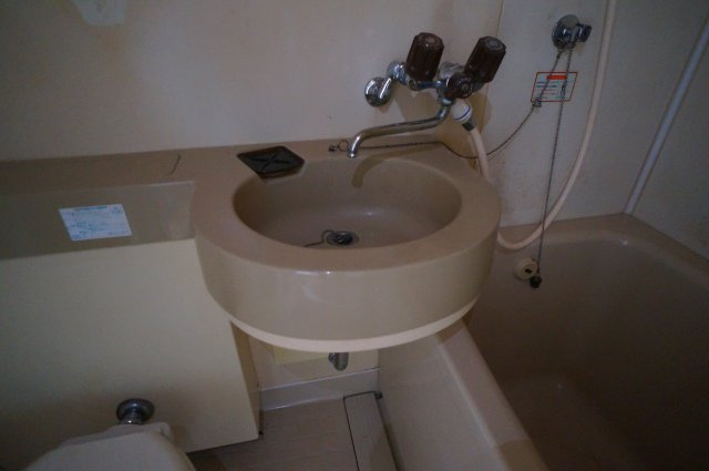 コーポ華の洗面所