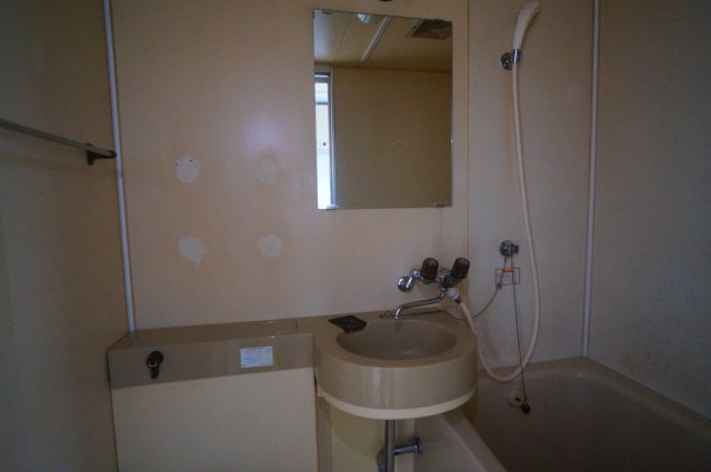 コーポ華の洗面所