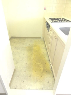 【キッチン】 | クリオ相武台弐番館(クリオソウブダイニバンカン)