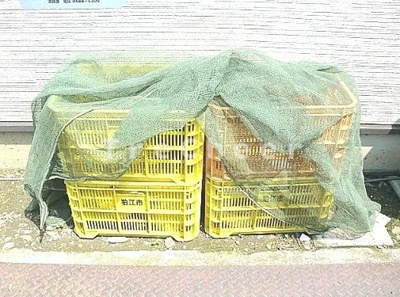 【その他共用部分】 | アイケイハイツ