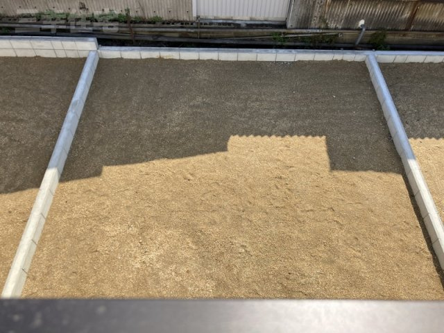 碧南市福清水町の庭|とっても広いお庭