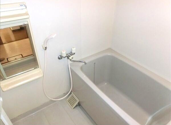 エアーシャトー六田の浴室