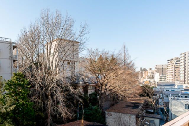 ＣＡＳＡ　ＭＩＡの展望