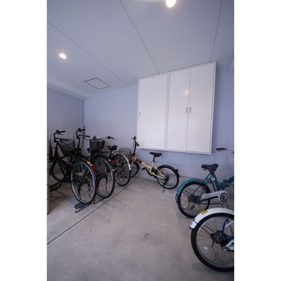  | エヌエムキャラントシス