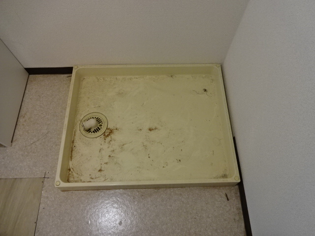 姫路市岡町の賃貸マンションの内装