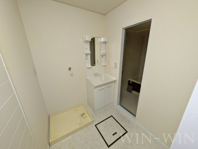 ハイム21の洗面所