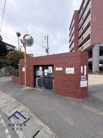 ロマネスク春日弥生のその他