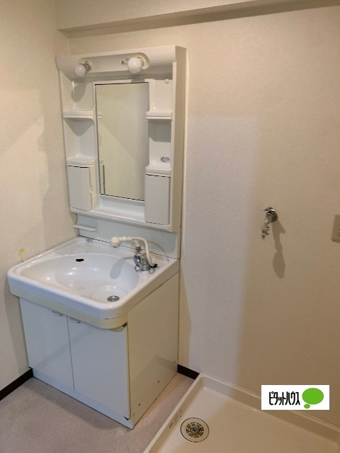 サニーコート市川の独立洗面台