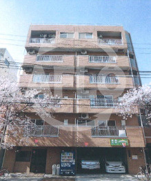 ウイングコート桜通り　中泉尾小学校の外観|ウィングコート桜通り　外観