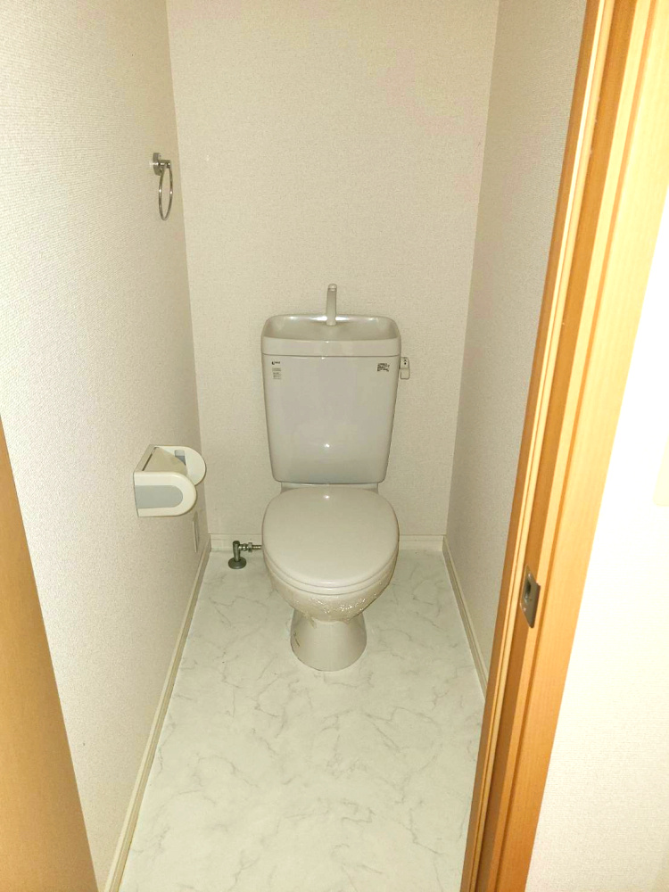 ブルージュのトイレ