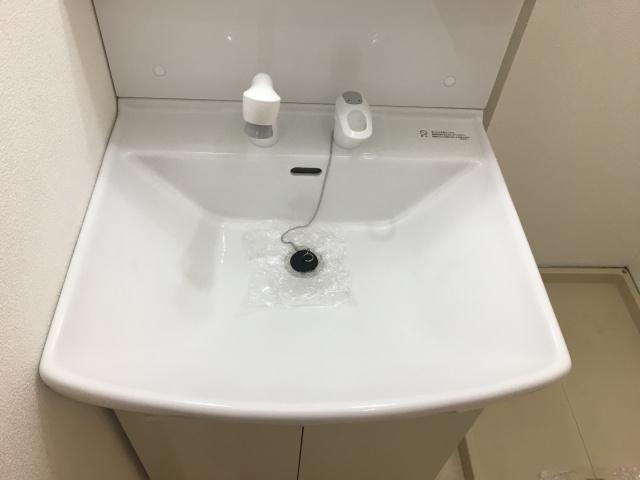 セジュール桂Bの洗面所