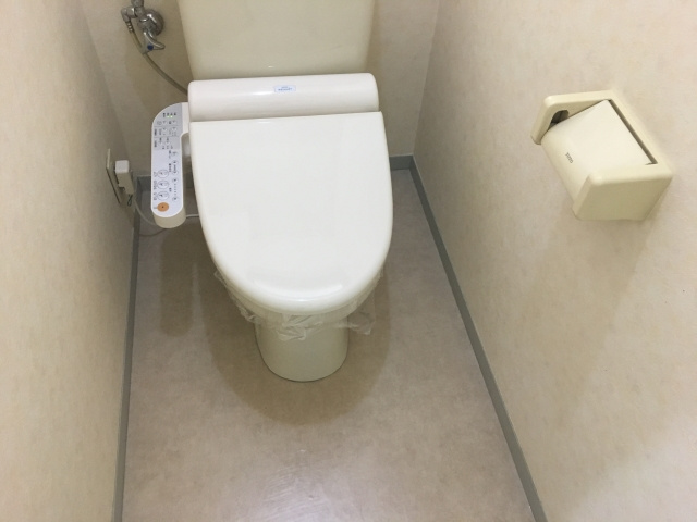 セジュール桂Bのトイレ