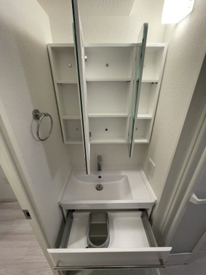 【独立洗面台】 | セレニテ本町リアン | セレニテ本町リアン　独立洗面台