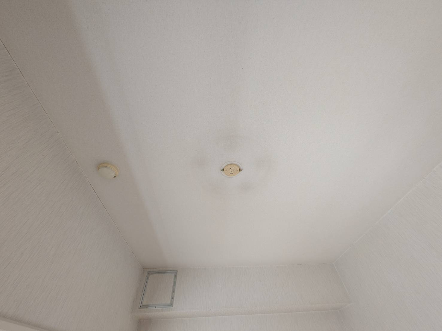 ハイリードセイフウの設備