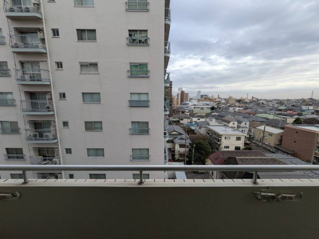 ハイリードセイフウの展望