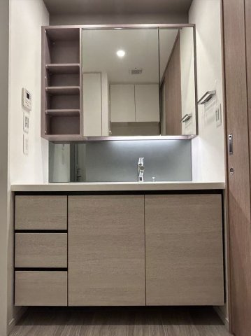 Park Village E棟 13階の独立洗面台