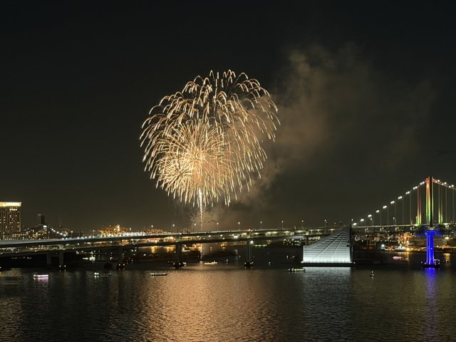 Park Village E棟 13階のバルコニー|バルコニーよりお台場のレインボー花火鑑賞可能です