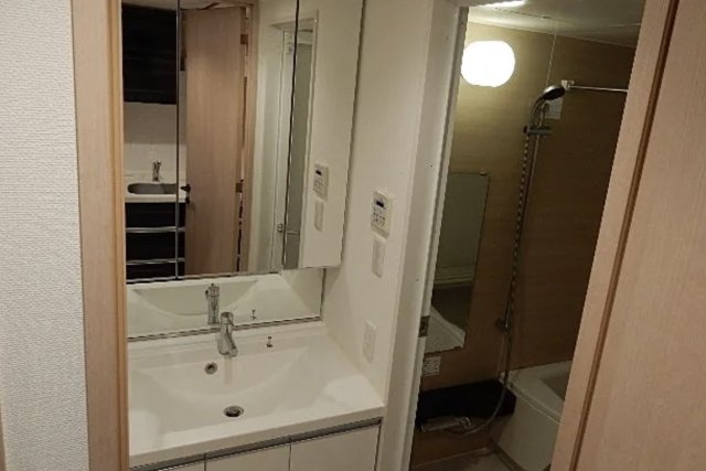 メゾンカルム本郷の洗面所