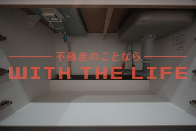 ラシックランテ上津町【キャッシュバック対象】の収納|収納豊富です