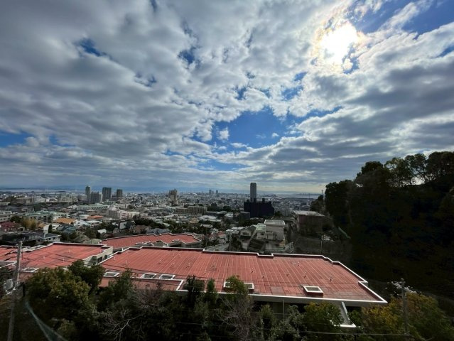 ビバリーヒルの展望