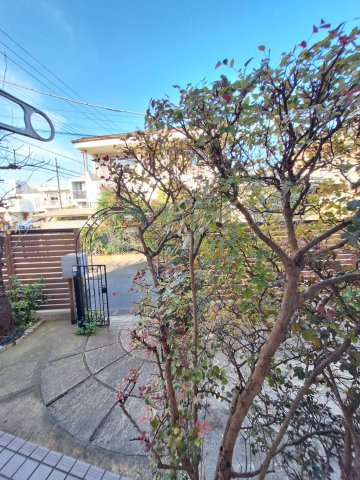 メゾンシャロームの展望