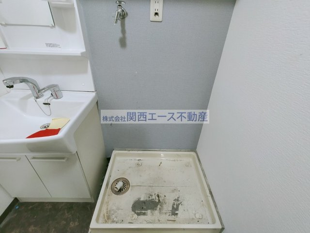  | シロハイヌ今米
